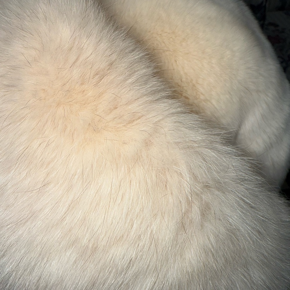 Cream Rabbit Fur Hat - Picture 4 of 5